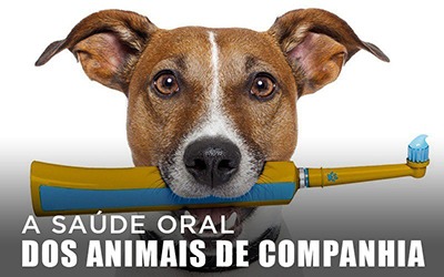 A SAÚDE ORAL DOS ANIMAIS DE COMPANHIA