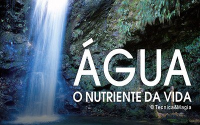 ÁGUA, O NUTRIENTE DA VIDA