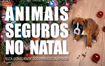 ANIMAIS SEGUROS NO NATAL - Está consciente dos perigos da época?