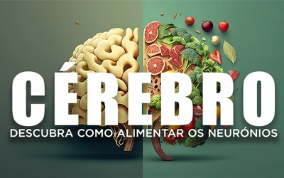 CÉREBRO, DESCUBRA COMO ALIMENTAR OS NEURÓNIOS