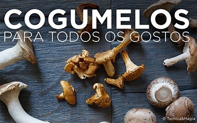 COGUMELOS PARA TODOS OS GOSTOS