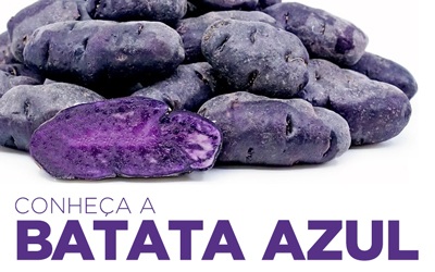 CONHEÇA A BATATA AZUL