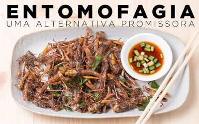 ENTOMOFAGIA, UMA ALTERNATIVA PROMISSORA