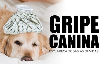 GRIPE CANINA - Esclareça todas as dúvidas!