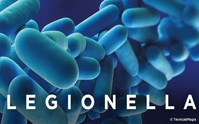 LEGIONELLA