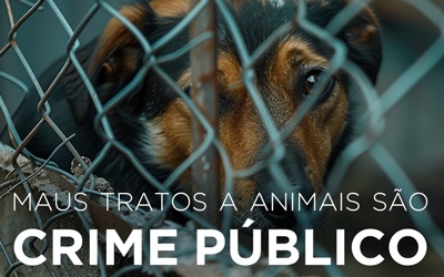 MAUS-TRATOS A ANIMAIS SÃO CRIME PÚBLICO