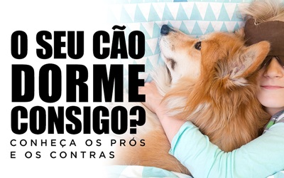 O SEU CÃO DORME CONSIGO? Conheça os prós e os contras