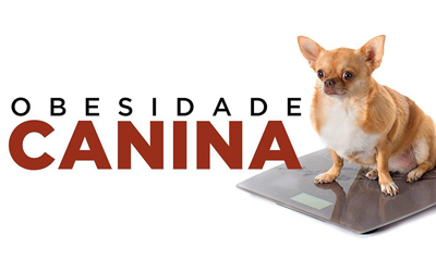 OBESIDADE CANINA