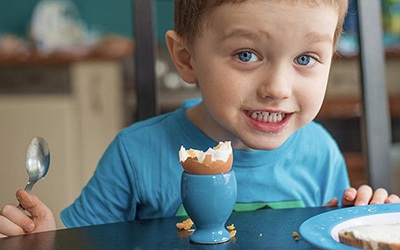 Ovos melhoram biomarcadores relacionados com desenvolvimento do cérebro infantil