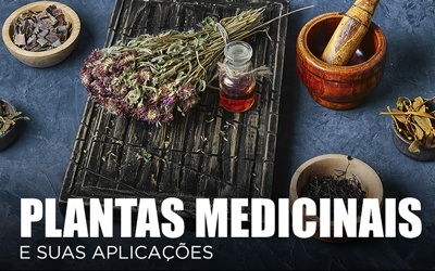 PLANTAS MEDICINAIS E SUAS APLICAÇÕES