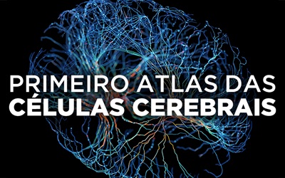 PRIMEIRO ATLAS DAS CÉLULAS CEREBRAIS