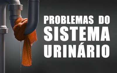 PROBLEMAS DO SISTEMA URINÁRIO