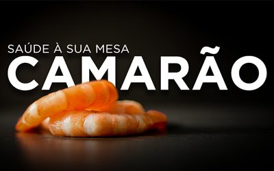 SAÚDE À SUA MESA: CAMARÃO