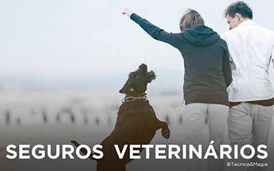 SEGUROS VETERINÁRIOS