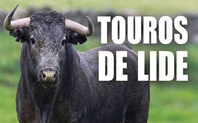 TOURO DE LIDE