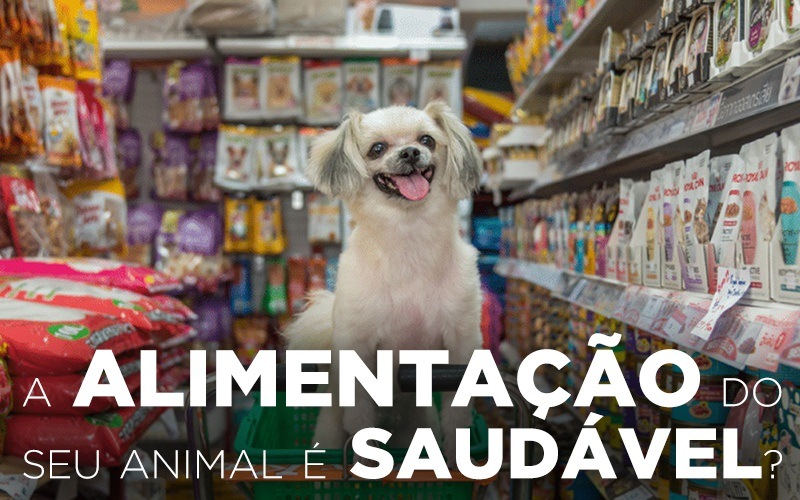 A ALIMENTAÇÃO DO SEU ANIMAL É SAUDÁVEL?