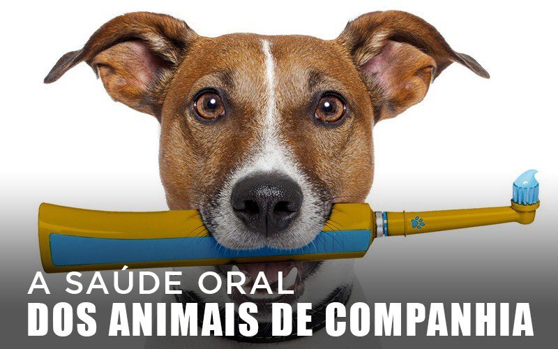 A SAÚDE ORAL DOS ANIMAIS DE COMPANHIA