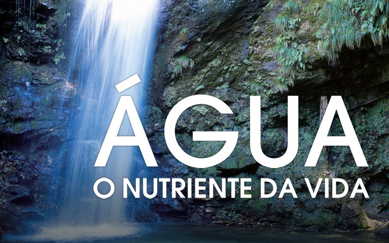 ÁGUA, O NUTRIENTE DA VIDA