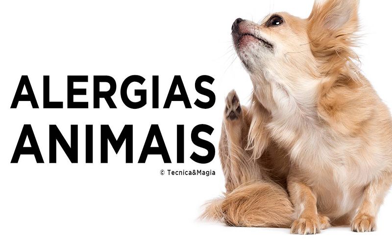 ALERGIAS ANIMAIS