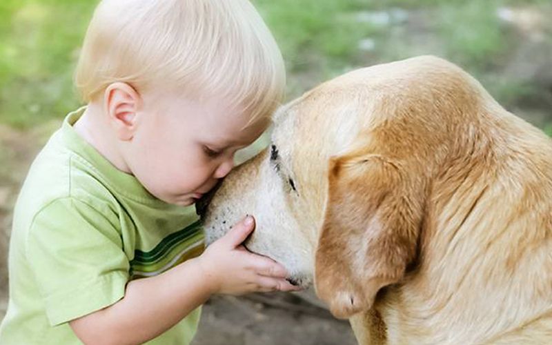 Animais e pragas podem evitar asma na infância