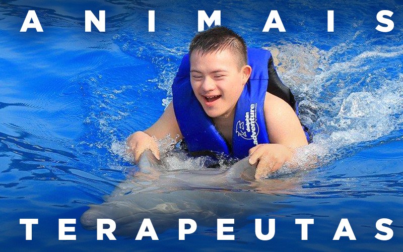 ANIMAIS TERAPEUTAS