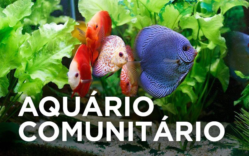 AQUÁRIO COMUNITÁRIO