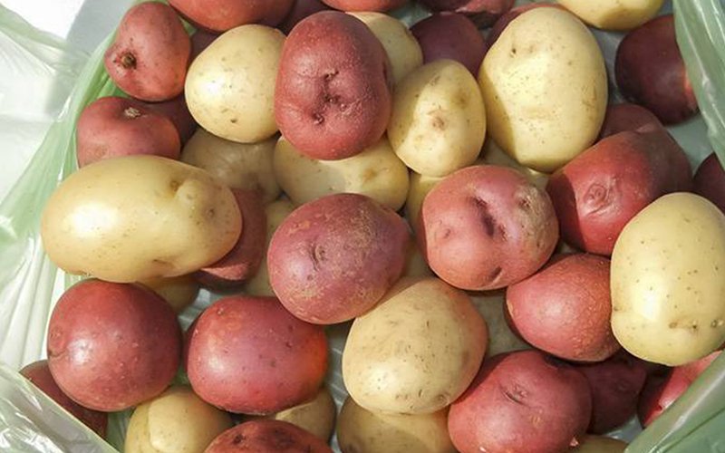 Batatas podem melhorar níveis de açúcar no sangue