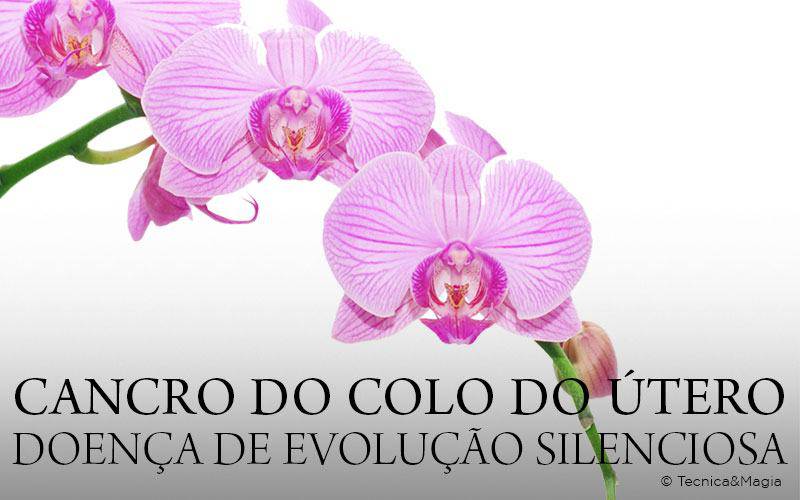 CANCRO DO COLO DO ÚTERO, DOENÇA DE EVOLUÇÃO SILENCIOSA