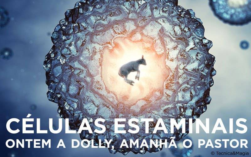 CÉLULAS ESTAMINAIS, ONTEM A DOLLY, AMANHÃ O PASTOR!