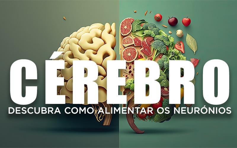 CÉREBRO, DESCUBRA COMO ALIMENTAR OS NEURÓNIOS