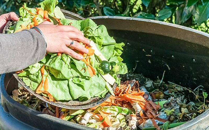 Cientistas encontram nova função para desperdício alimentar