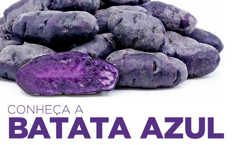 CONHEÇA A BATATA AZUL