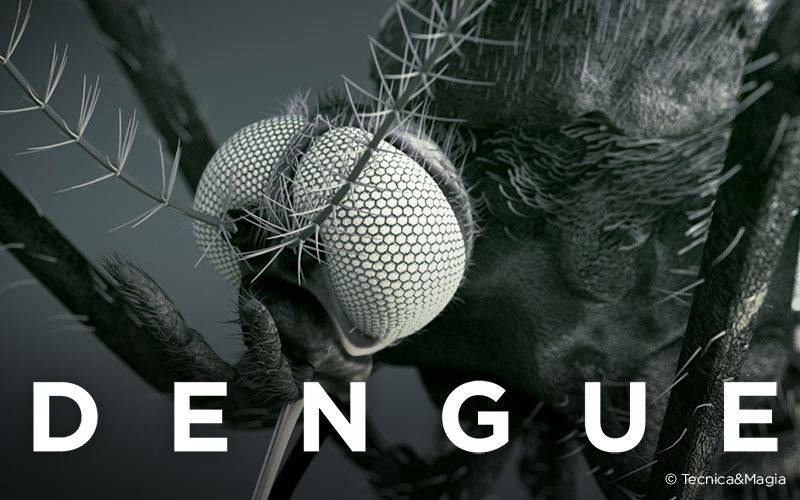 DENGUE