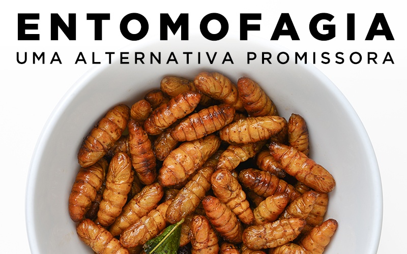 ENTOMOFAGIA, UMA ALTERNATIVA PROMISSORA