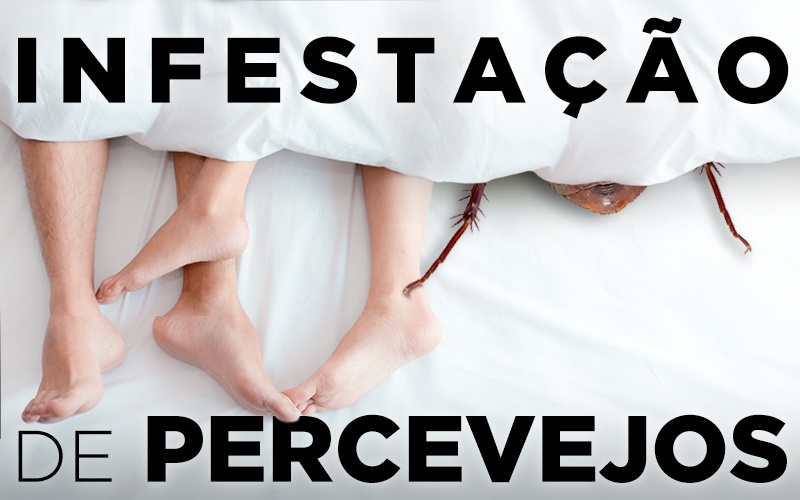 INFESTAÇÃO DE PERCEVEJOS