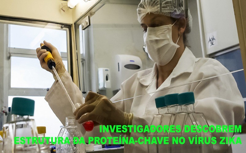 Investigadores descobrem estrutura da proteína-chave no vírus Zika