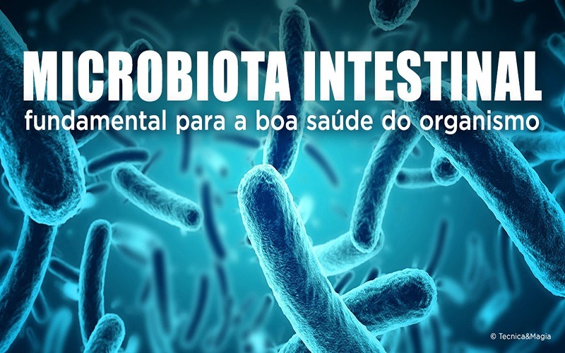 MICROBIOTA INTESTINAL - Fundamental para a boa saúde do organismo