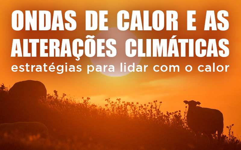 ONDAS DE CALOR E AS ALTERAÇÕES CLIMÁTICAS - Estratégias para lidar com o calor