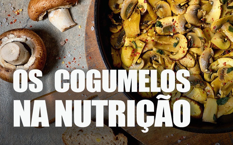 OS COGUMELOS NA NUTRIÇÃO