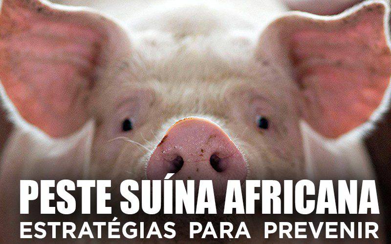 PESTE SUÍNA AFRICANA - Estratégias para prevenir