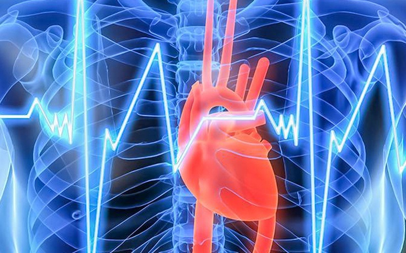 Presença de cálcio nas artérias coronárias pode ser melhor indicador de risco cardiovascular