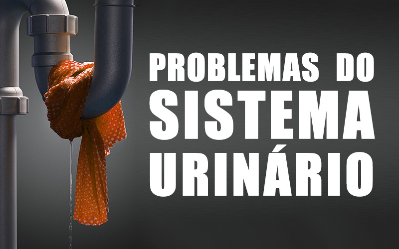 PROBLEMAS DO SISTEMA URINÁRIO