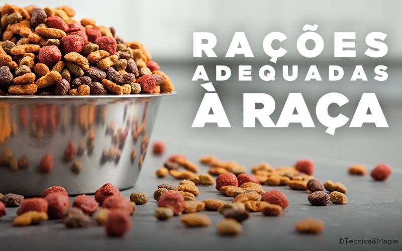 RAÇÕES ADEQUADAS À RAÇA