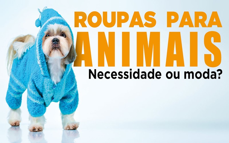 ROUPAS PARA ANIMAIS - Necessidade ou moda?