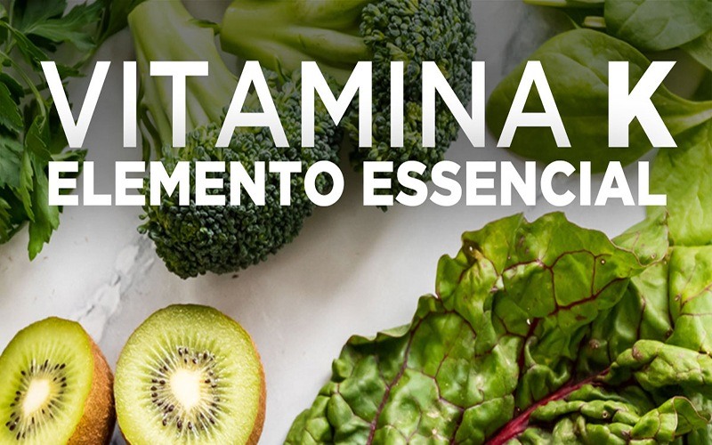 VITAMINA K - Elemento essencial para o mecanismo de coagulação sanguínea