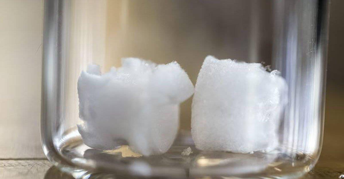 Espuma de celulose poderá ser a base de implantes ósseos do futuro