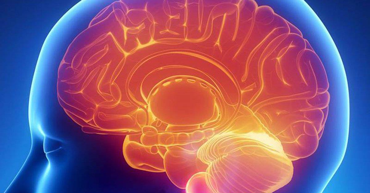 Nanotecnologia pode ser usada para tratar problemas cerebrais