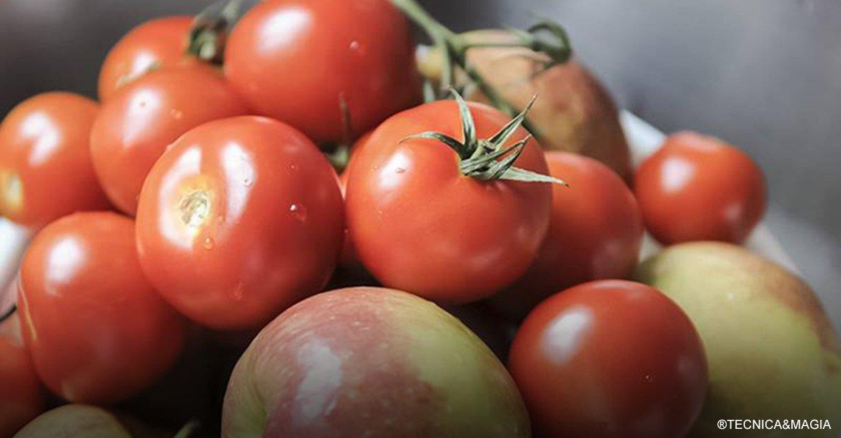 Ingestão de maçã e tomate potencia recuperação de pulmões de ex-fumadores