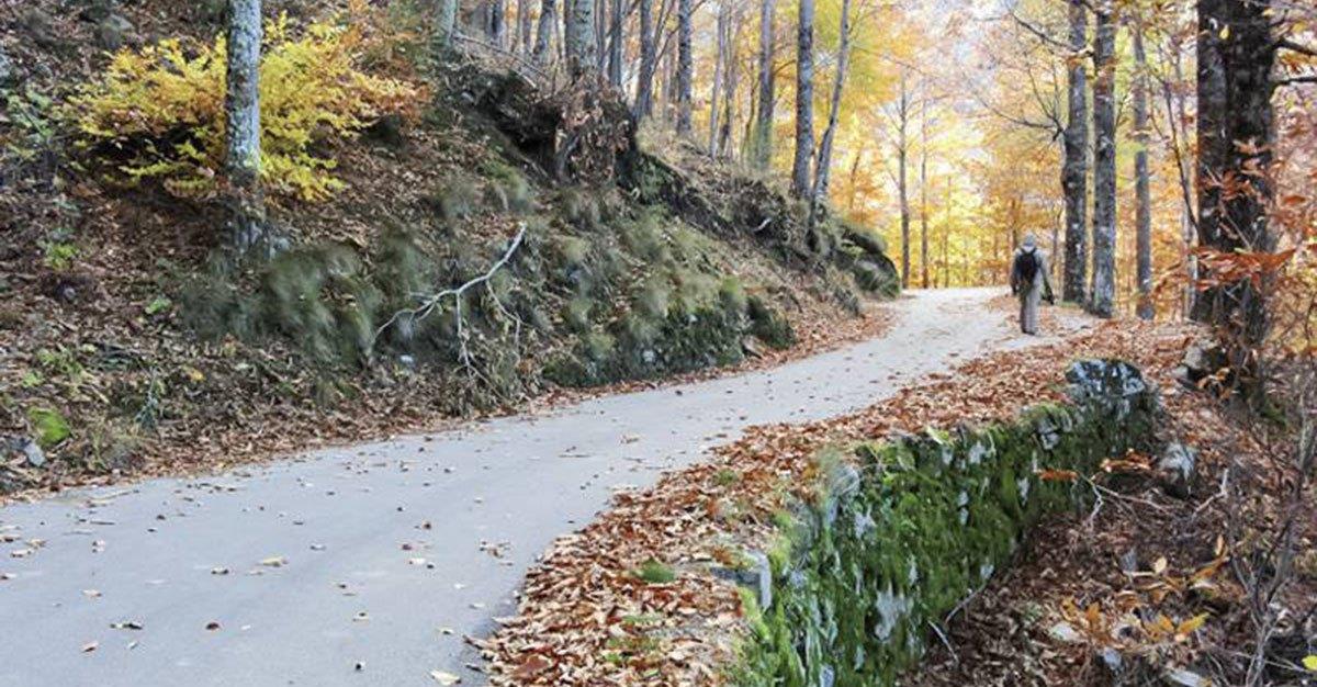 Viver perto da natureza faz bem à saúde