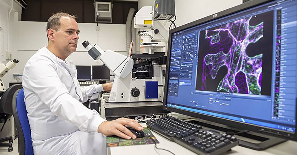 Cientistas conseguem produzir substância essencial do leite materno